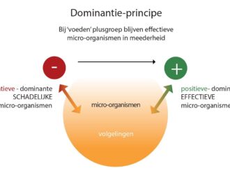 Afbeelding voor blog Wat is EM? op EM-Store.eu