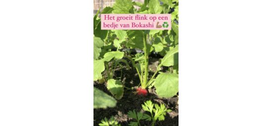 Bekijk deze afbeelding van Bokashi Emmerset grijs Nu met gratis aanrechtbakje! op EM-Store.eu