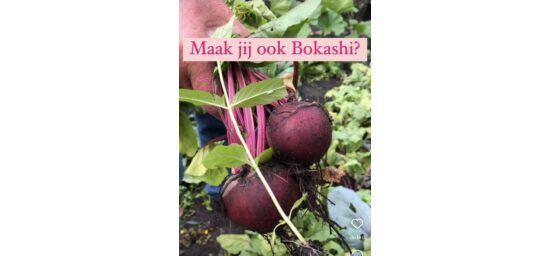 Bekijk deze afbeelding van Bokashi emmerset zwart op EM-Store.eu