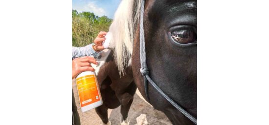 Bekijk deze afbeelding van HorseCare vachtverzorging op EM-Store.eu