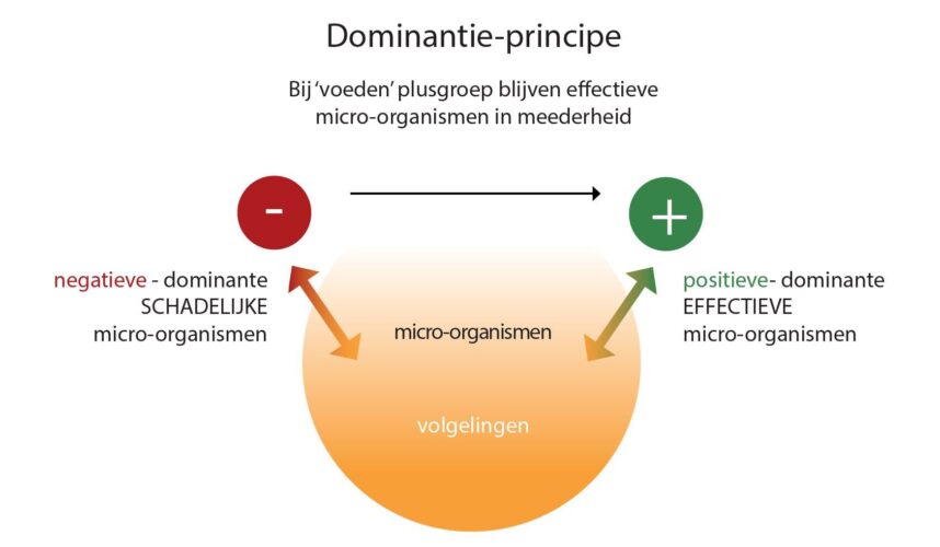 De foto van de blog Wat is EM? van EM-Store.eu